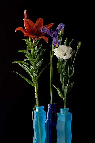 3-blue-vases_0262 Photo Title: 3 Blue Vases