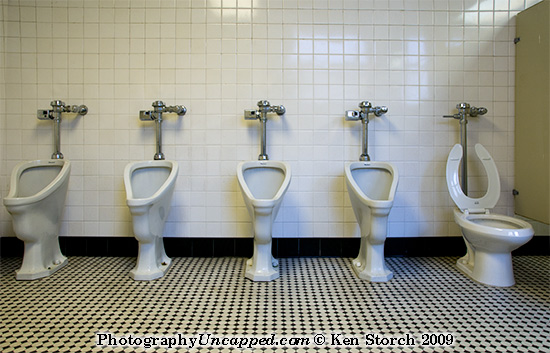 toilet-evolution_186351 Evidence of evolution display