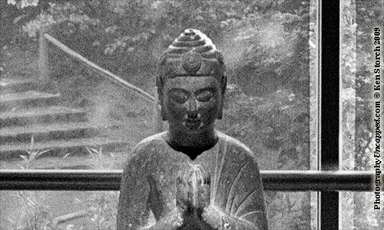 buddha-v3b-sm Bhudda Photo (detail)