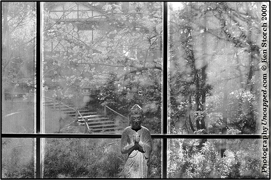 buddha-v3b Photo Image of Buddha and Background
