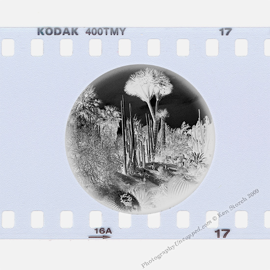 Circular-0075-neg Film Negative on Kodak T-Max 400 TMY Film