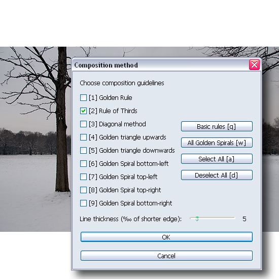 Rule-of-thirds-cropping-grid composition method dialog