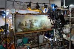 Large scale Photographs of Underwater Miniatures