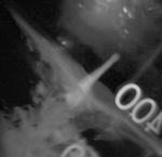 High Speed High Resolution Digital Video and Still Imaging from the Same Chip at the Same Time